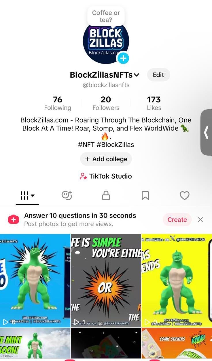 BlockZillas TikTok Screenshot